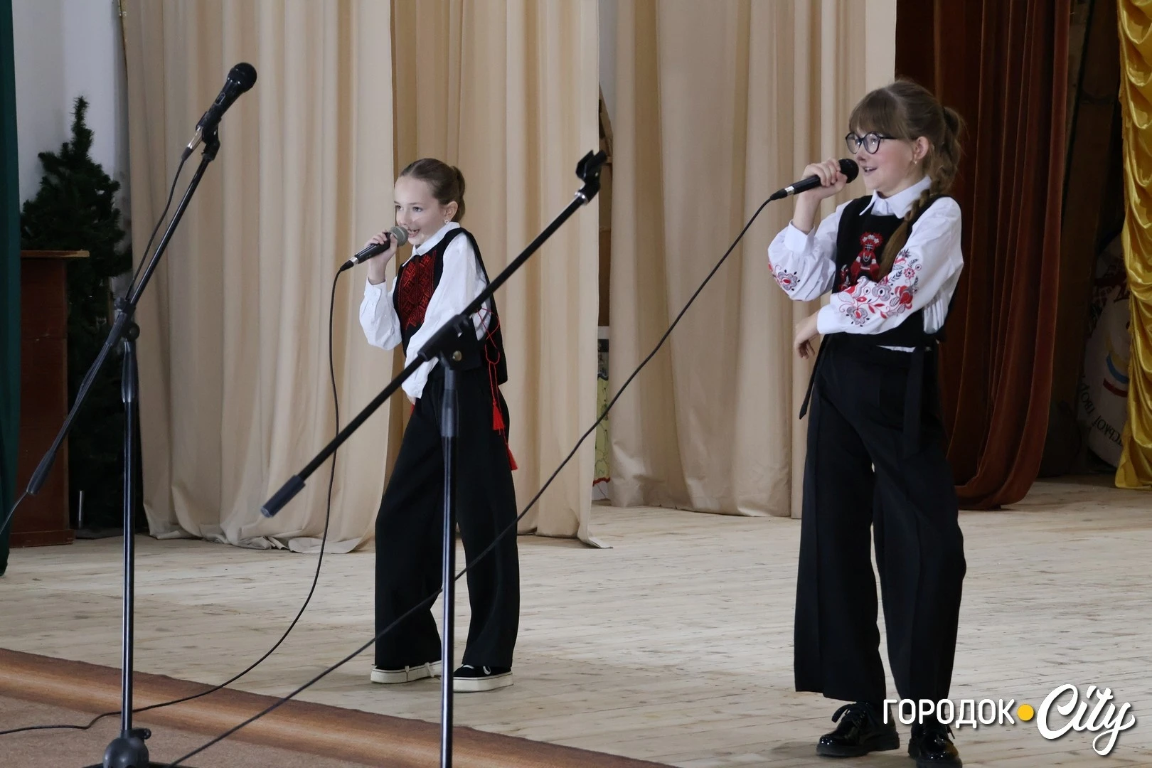 «Місто, що надихає». У Городку відбувся благодійний концерт дитячих творчих колективів