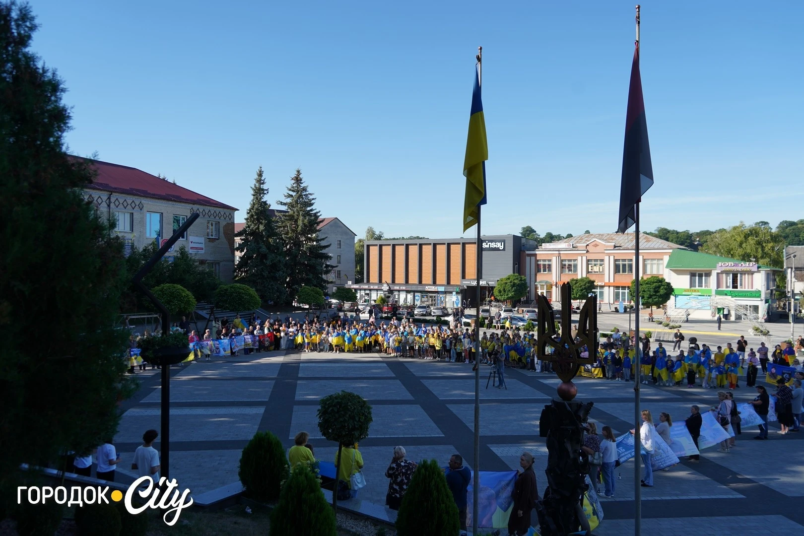 Соняшники для загиблих, голуби для зниклих безвісти: у Городку провели пам’ятну акцію