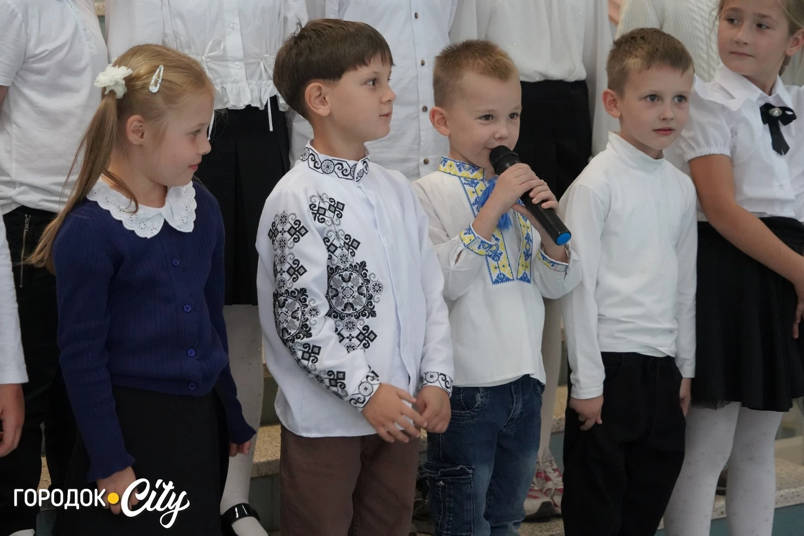 «Можливо, разом знайдемо рішення»: Пйотр Лукасевич відвідав польськомовний ліцей у Городку