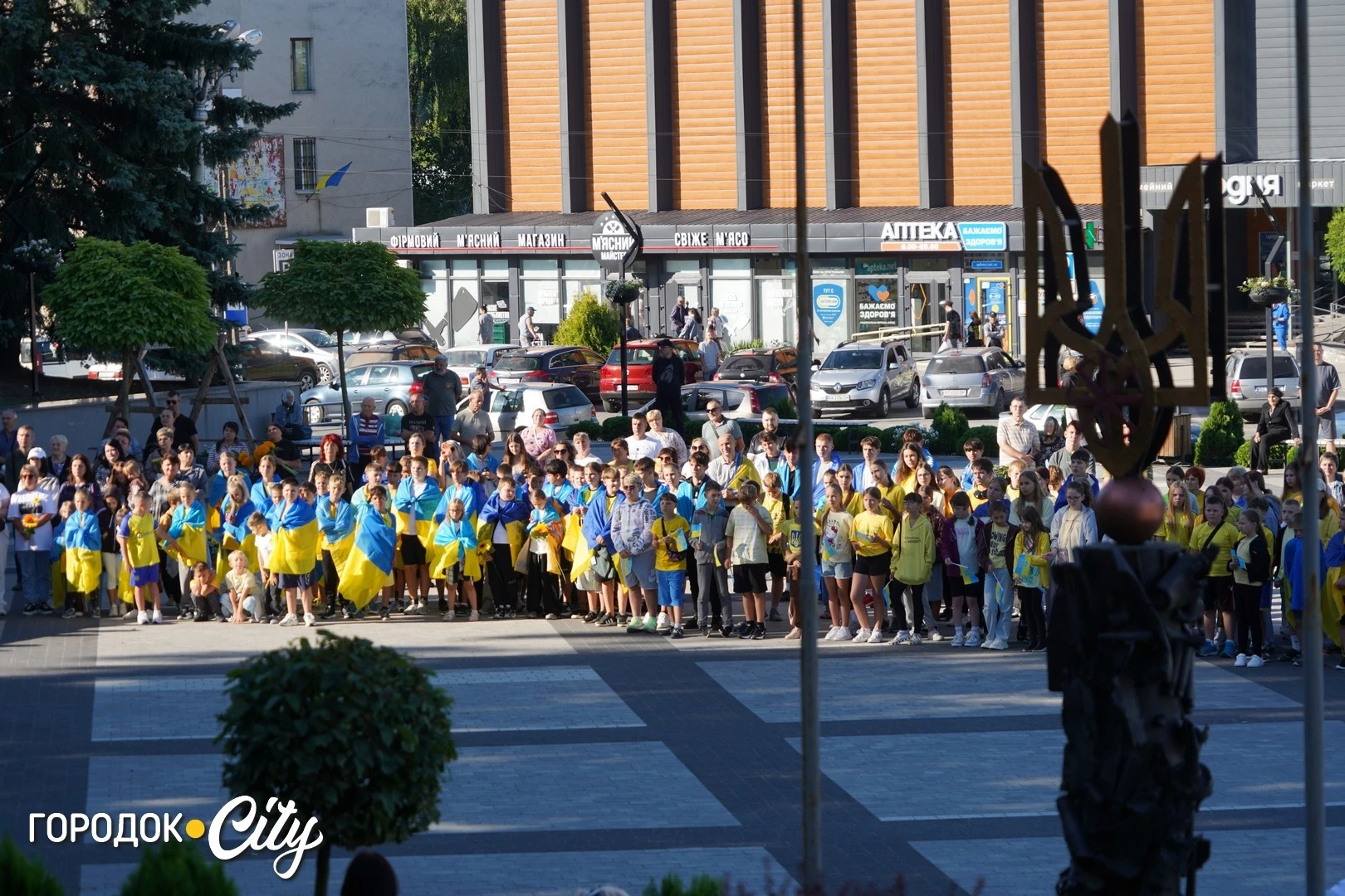 Соняшники для загиблих, голуби для зниклих безвісти: у Городку провели пам’ятну акцію
