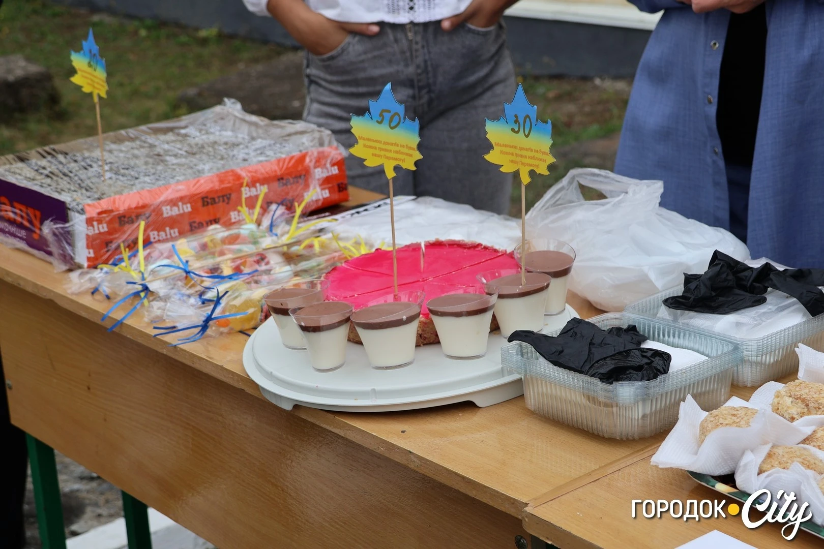 У Городоцькому ліцеї №2 провели благодійний спортивний захід. Скільки коштів вдалося зібрати