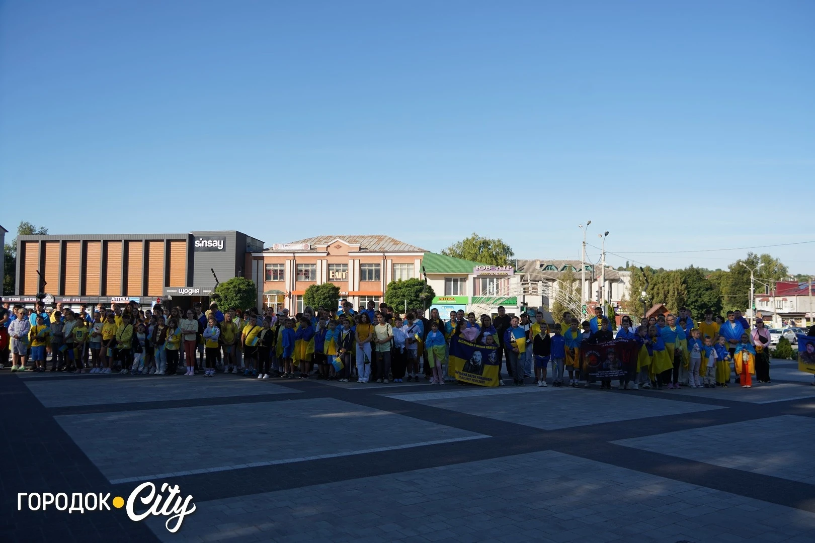 Соняшники для загиблих, голуби для зниклих безвісти: у Городку провели пам’ятну акцію