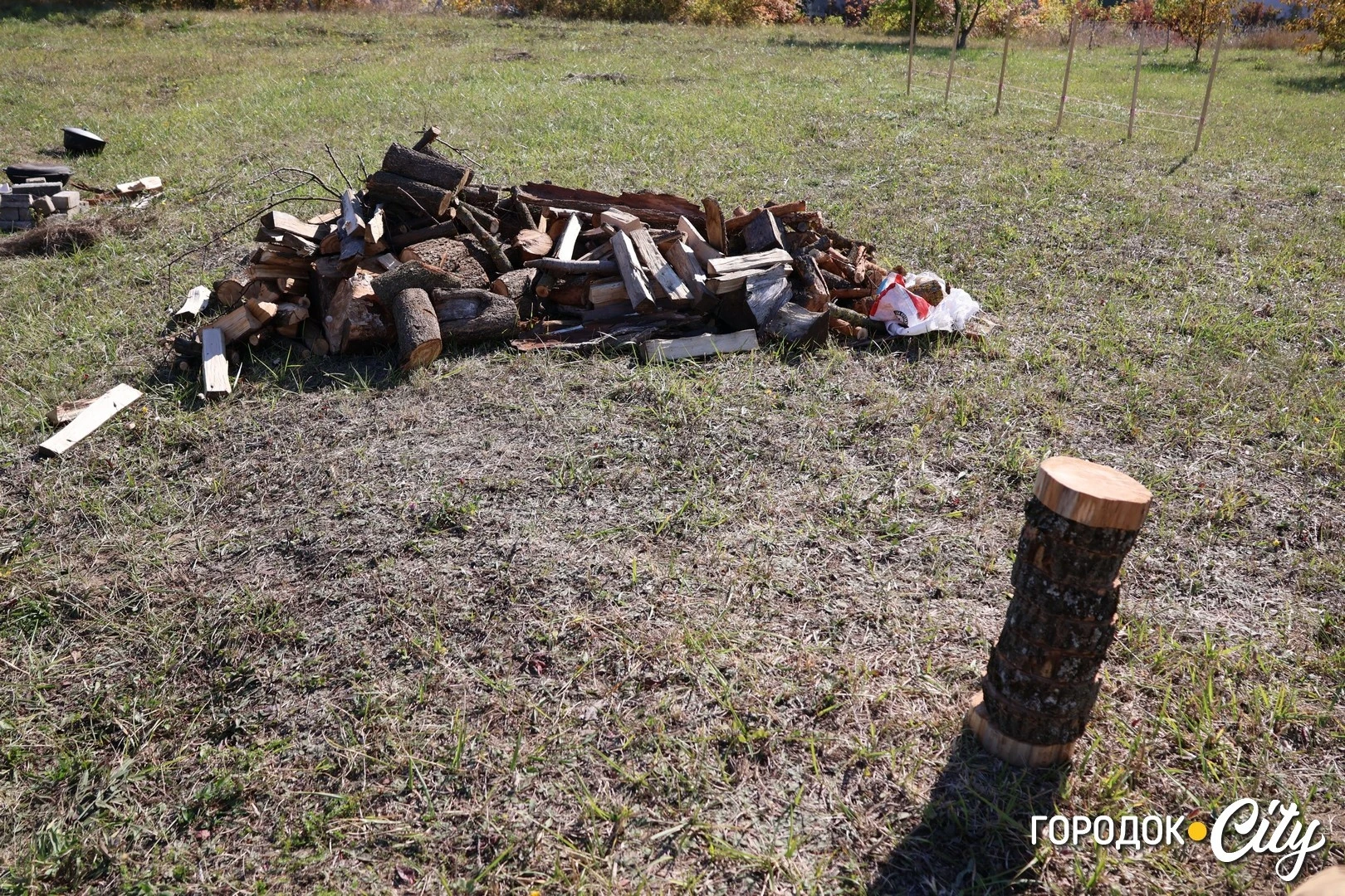День туризму відзначали у Городоцьких ліцеях