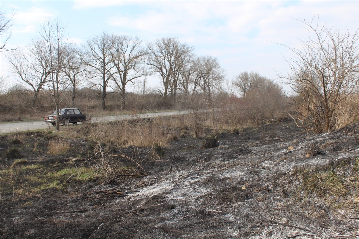 Разом із тим, поблизу сміттєзвалища наслідки паліїв все ж були помітними. Смуга біля дороги була чорною, у повітрі відчувався запах диму.