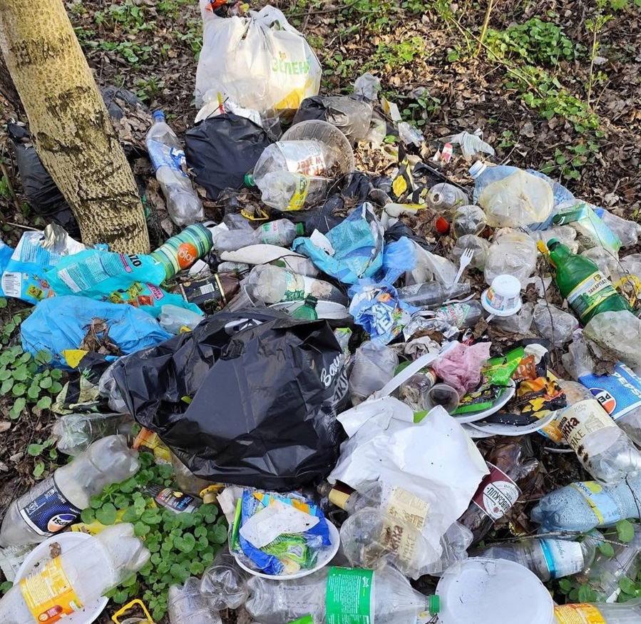 Стихійне сміттєзвалище на території так званого «Нового пляжу».
