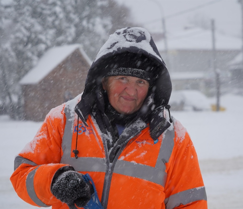 Надія Доброгорська