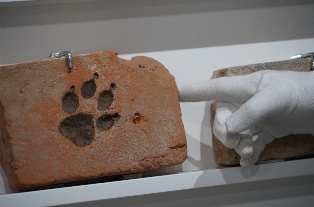 Цегла із відбитком лапи тварини