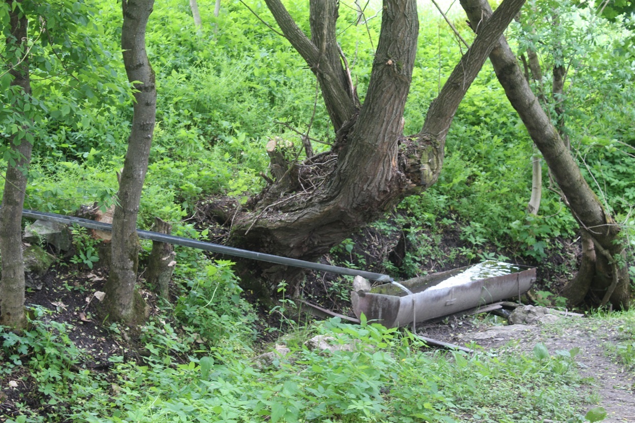 Кажуть, один цю відстань — понад кілометр — носить воду на коромислі, інший возить на мотоблоці.
