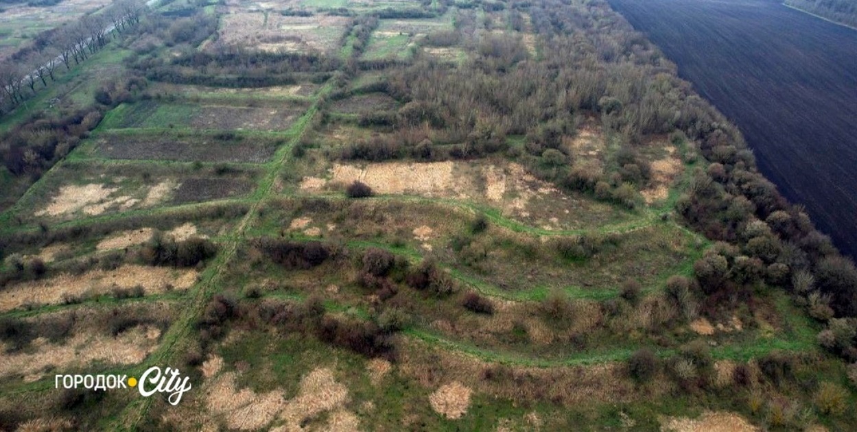 Колишні поля фільтрації цукрового заводу