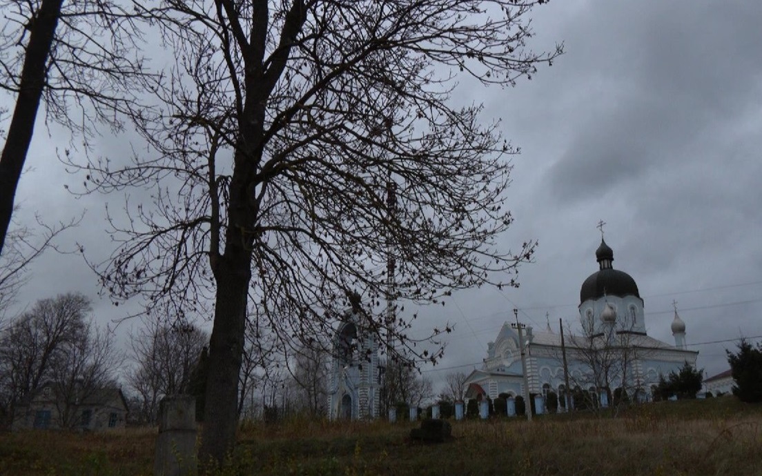 Аварійні дерева на старому кладовищі у Городку