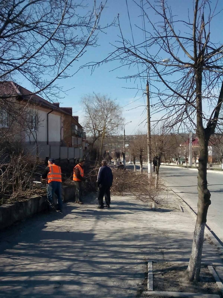 Всього у Городоцькому КП «Городоккомунсервіс» налічується п’ять одиниць техніки, яка працює над вивезенням сміття.

