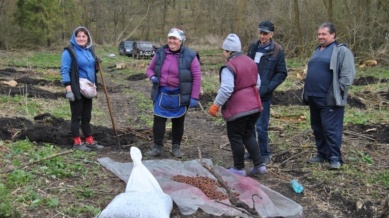 Працівники Городоцького спеціалізованого лісогосподарського підприємства «ГОРЛІС»