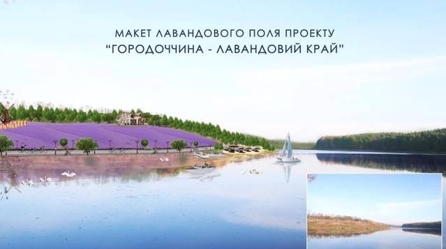Презентація проєкту «Городоччина — лавандовий край» головою Городоцької райдержадміністрації Оленою Матвєйцевою у листопаді 2018 року