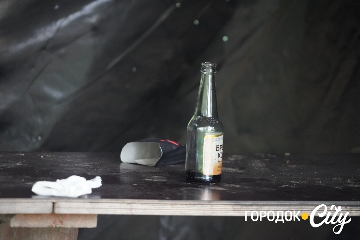 Санітарна рубка в «Дубку». Городоцькі лісники пояснюють, що і навіщо вирубуватимуть