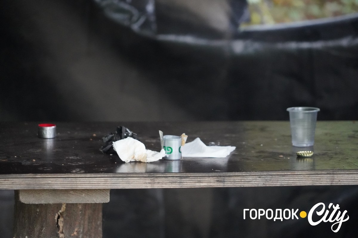 Санітарна рубка в «Дубку». Городоцькі лісники пояснюють, що і навіщо вирубуватимуть