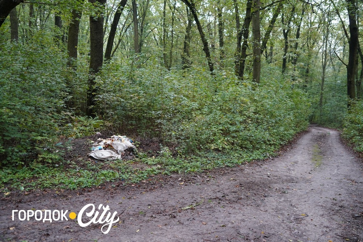 Місто — не смітник. Городоччан закликають дбати про чистоту довкілля