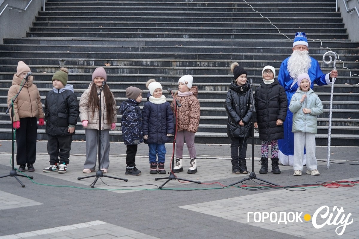 Дитинство має тривати. У Городку урочисто відкрили головну ялинку громади