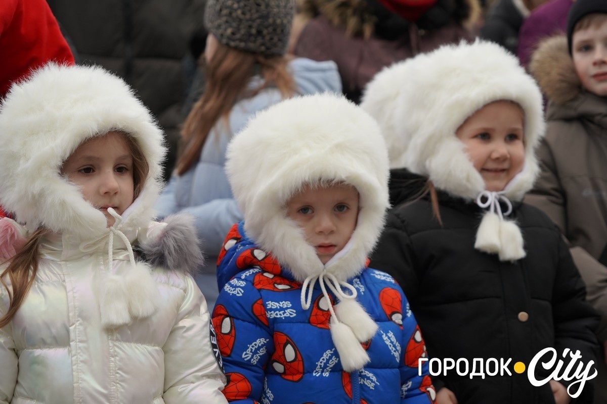 Дитинство має тривати. У Городку урочисто відкрили головну ялинку громади