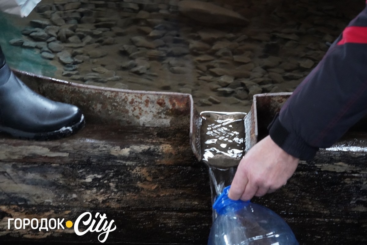 Водохреще-2026. На Городоччині відзначили свято освяченням води та пірнанням у купіль