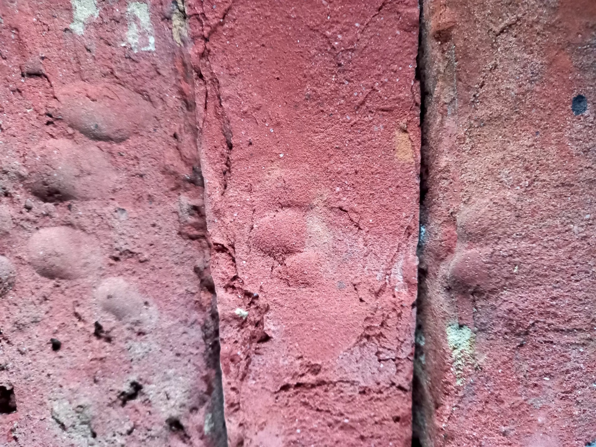 «Кожна цеглина — це окрема книга»: як старовинні будматеріали розповідають історію Городка і країни