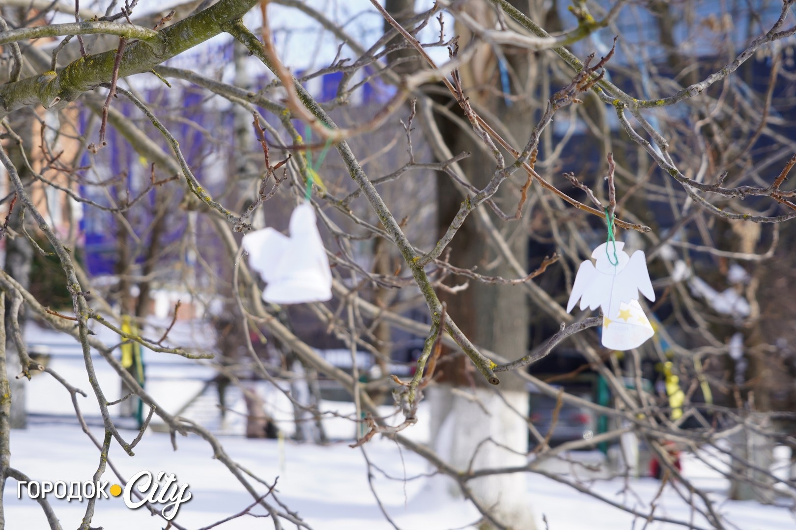 Ангели пам’яті: Городоцький ліцей №1 вшанував перших полеглих битви, що триває