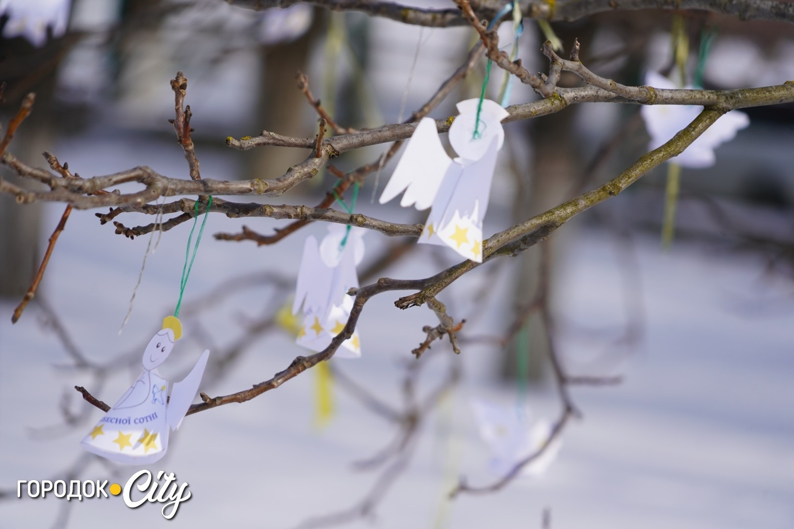 Ангели пам’яті: Городоцький ліцей №1 вшанував перших полеглих битви, що триває