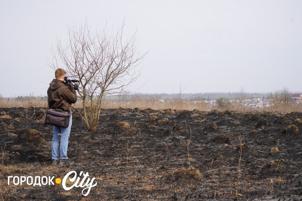 Чотири пожежі за тиждень. Городоцькі рятувальники закликають не спалювати суху рослинність