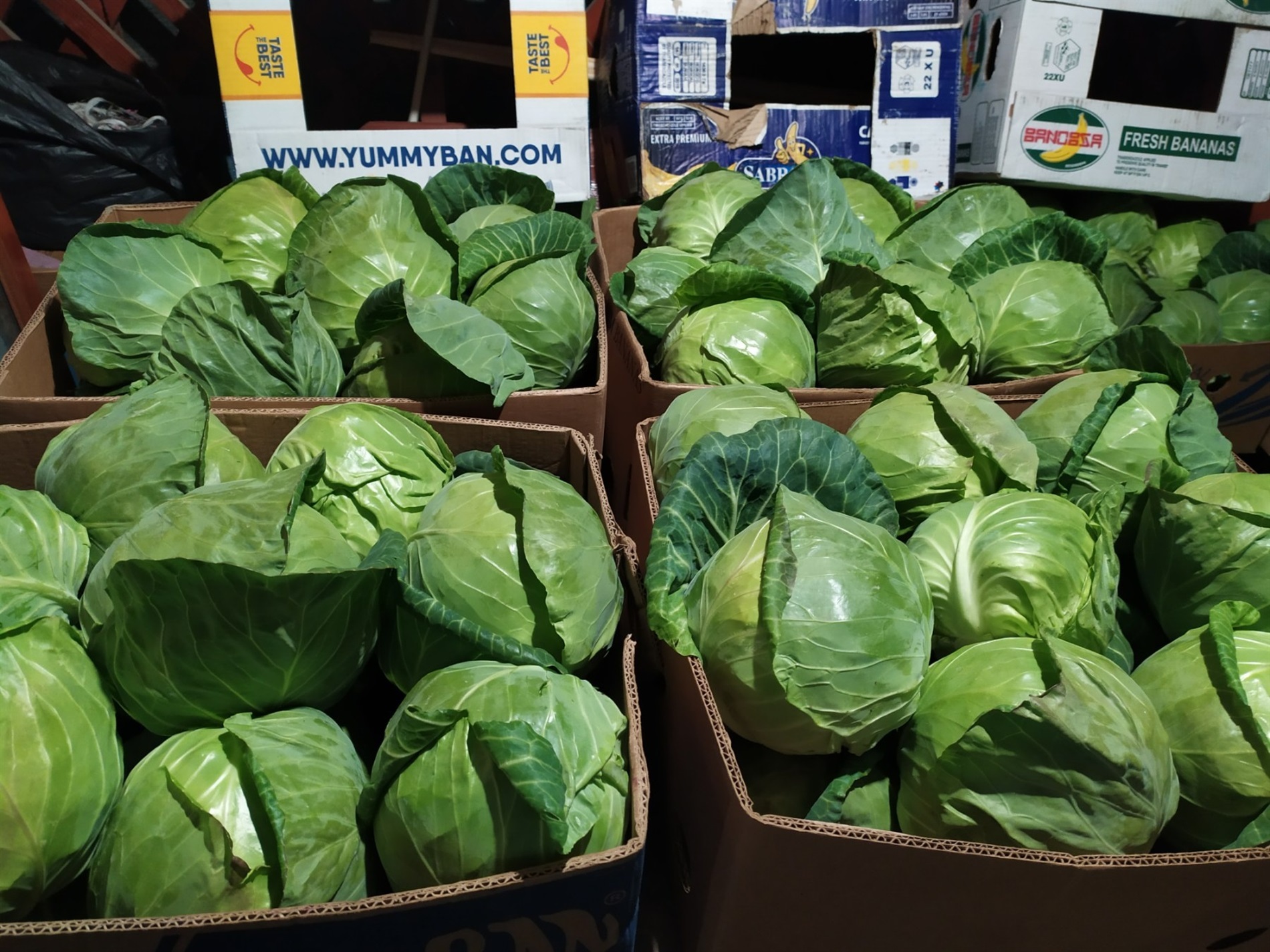 Чому підтримка — це право, а не розкіш: як Городоцька громада долає психологічні наслідки війни