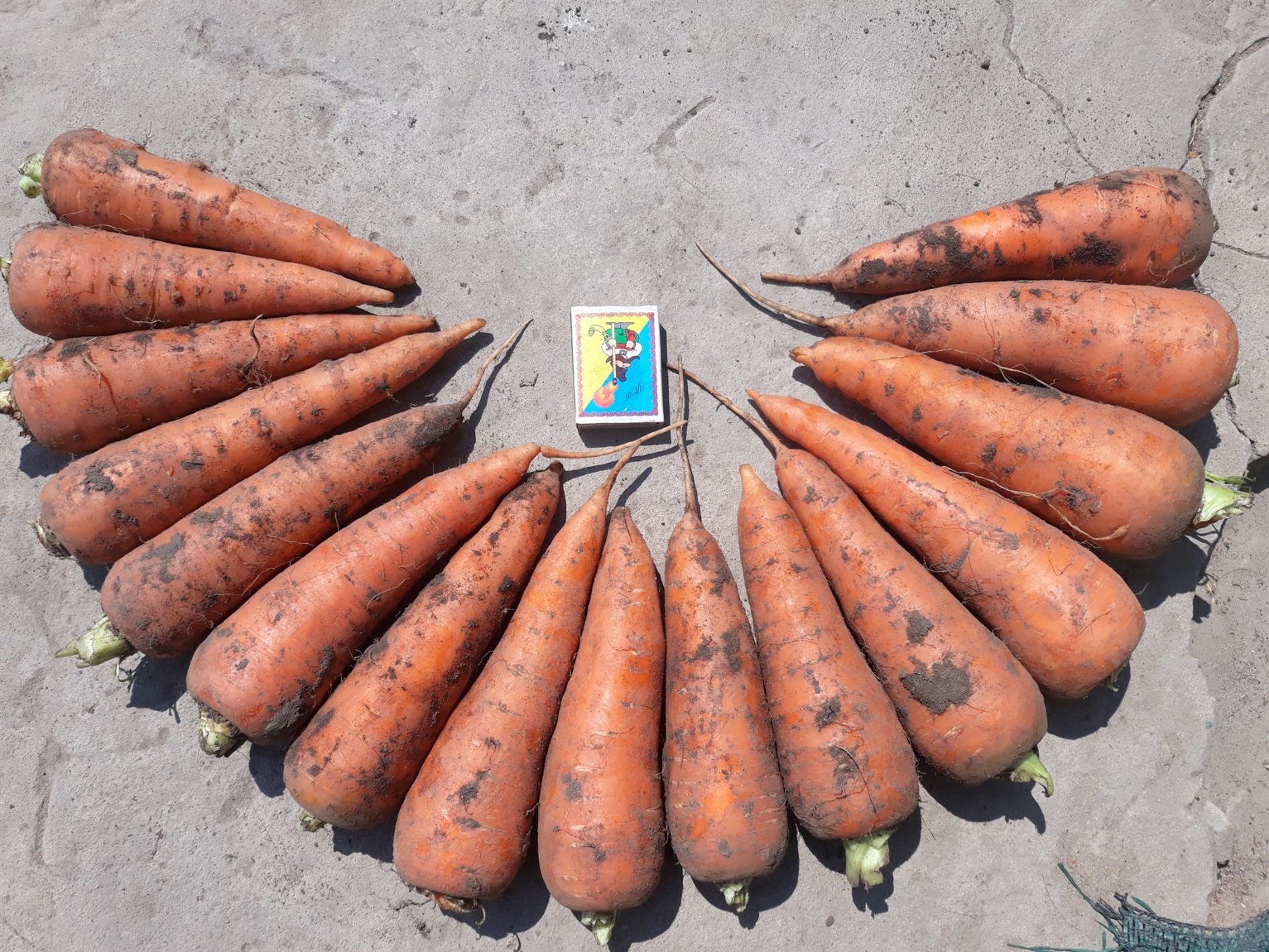 Чому підтримка — це право, а не розкіш: як Городоцька громада долає психологічні наслідки війни