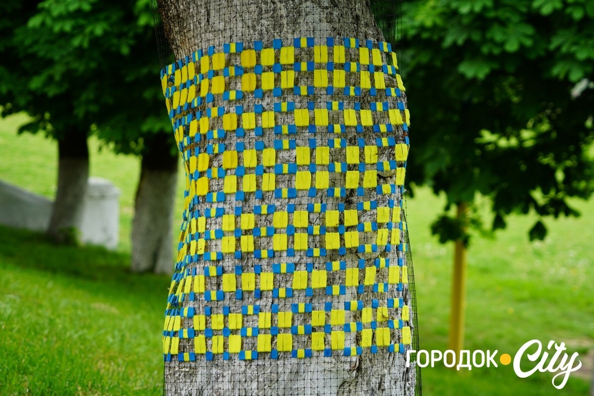 Створили цифру 20 та одягнули дерева у вишиванки. Фоторепортаж із Городоцького ліцею №1