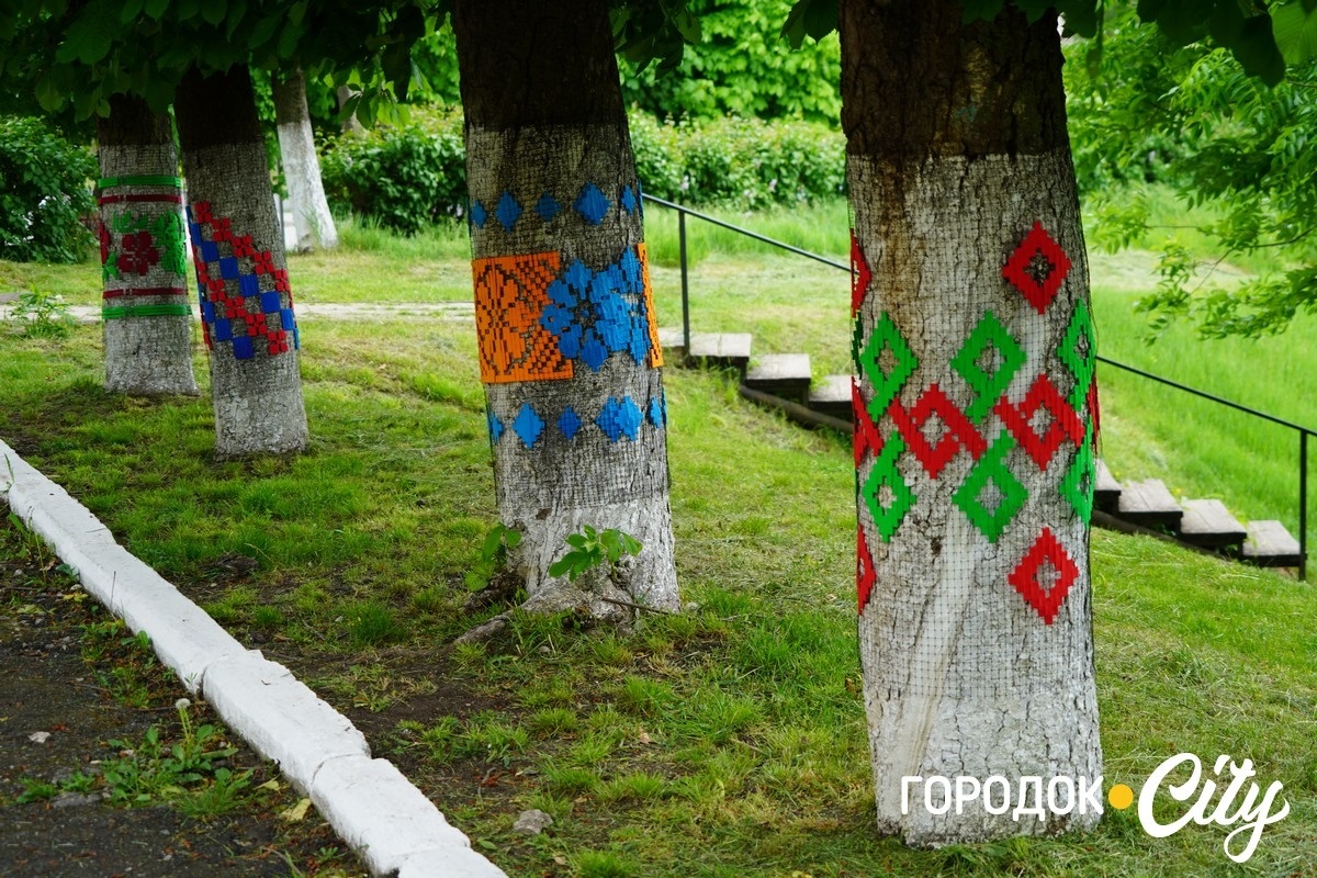Створили цифру 20 та одягнули дерева у вишиванки. Фоторепортаж із Городоцького ліцею №1