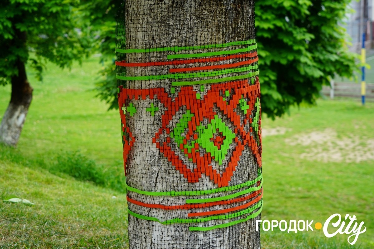 Створили цифру 20 та одягнули дерева у вишиванки. Фоторепортаж із Городоцького ліцею №1
