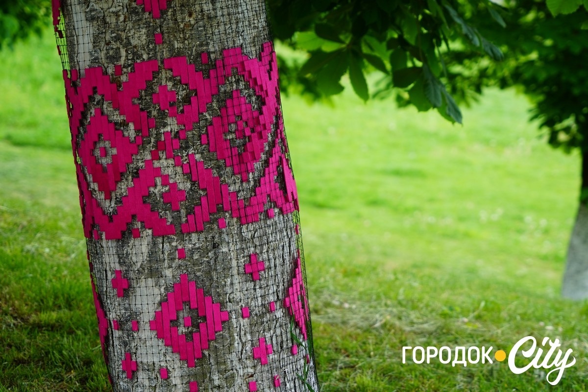 Створили цифру 20 та одягнули дерева у вишиванки. Фоторепортаж із Городоцького ліцею №1