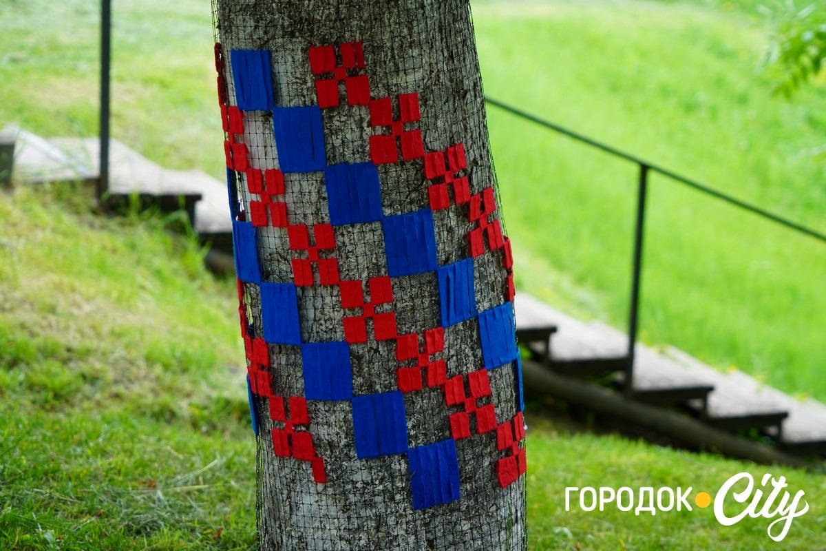 Створили цифру 20 та одягнули дерева у вишиванки. Фоторепортаж із Городоцького ліцею №1