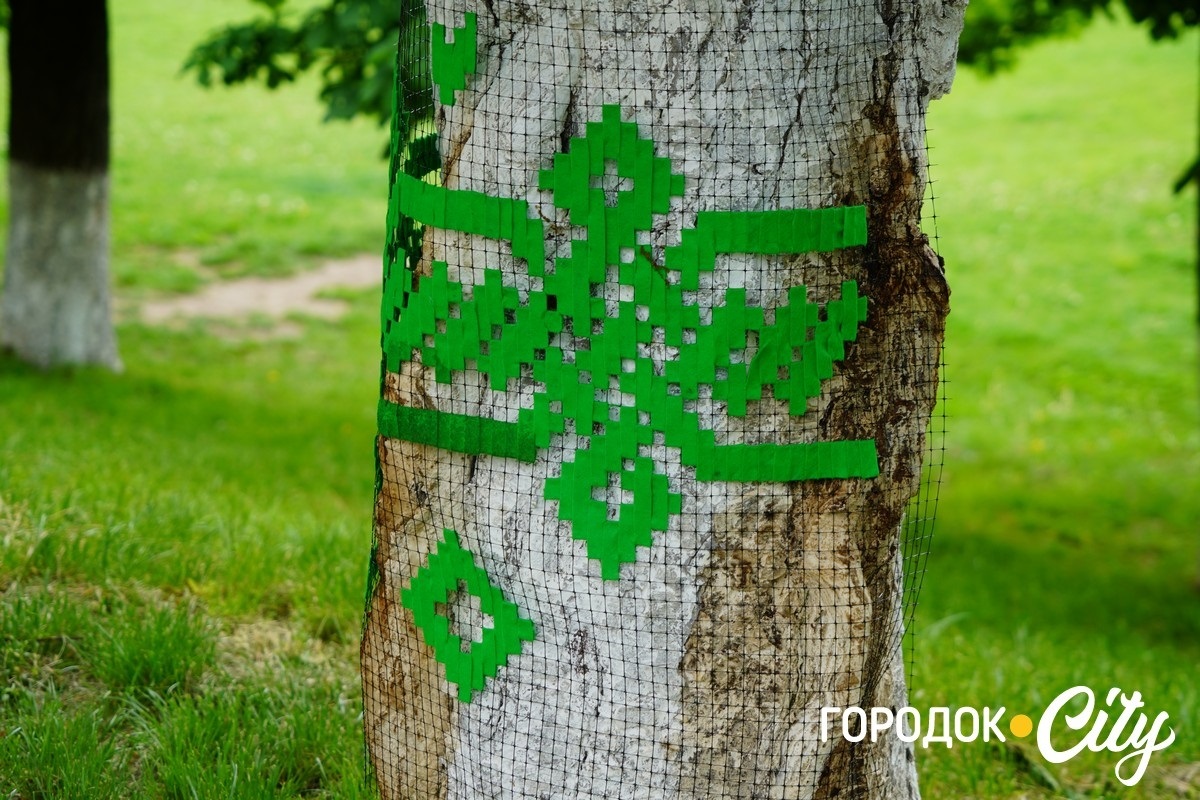 Створили цифру 20 та одягнули дерева у вишиванки. Фоторепортаж із Городоцького ліцею №1