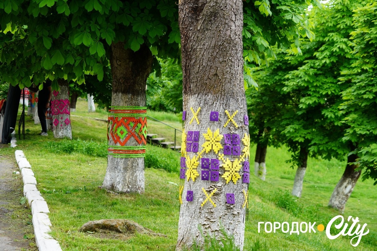 Створили цифру 20 та одягнули дерева у вишиванки. Фоторепортаж із Городоцького ліцею №1
