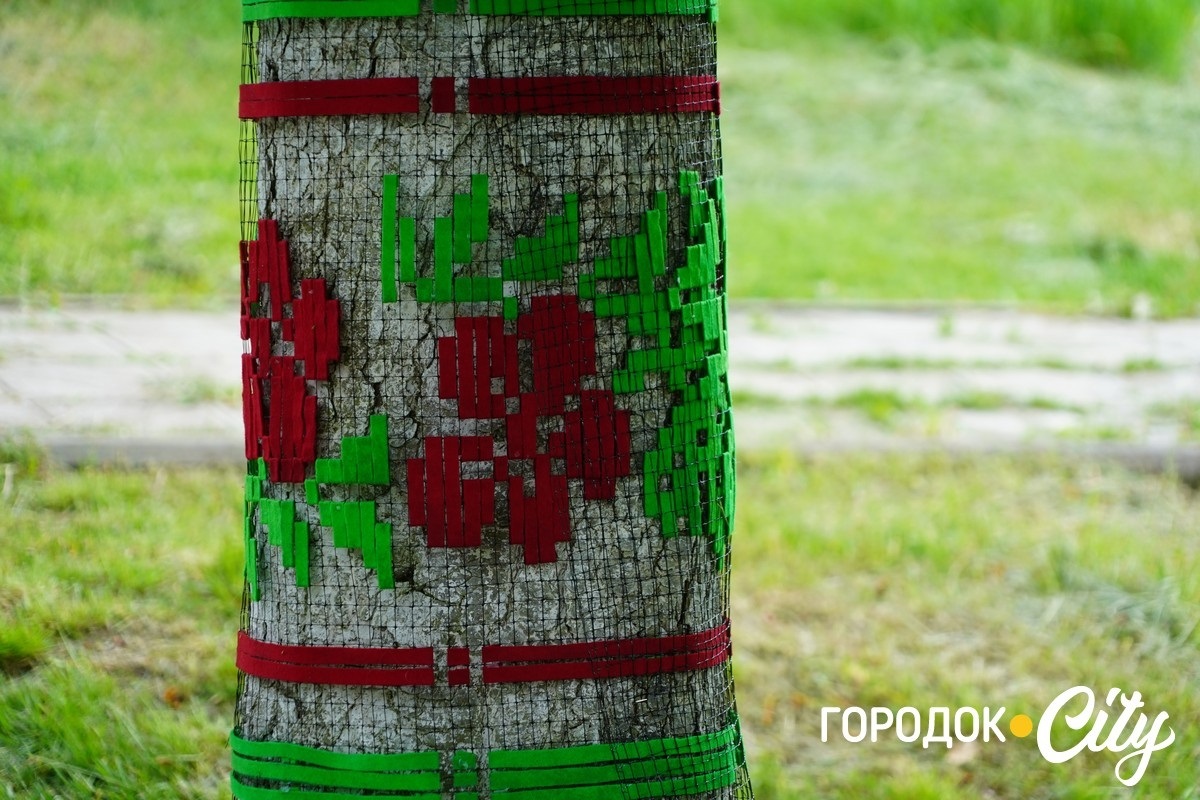 Створили цифру 20 та одягнули дерева у вишиванки. Фоторепортаж із Городоцького ліцею №1