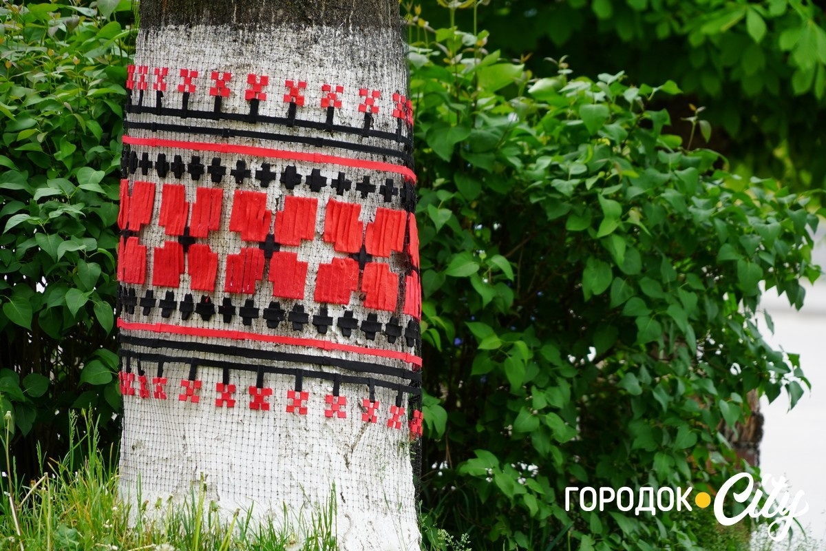 Створили цифру 20 та одягнули дерева у вишиванки. Фоторепортаж із Городоцького ліцею №1