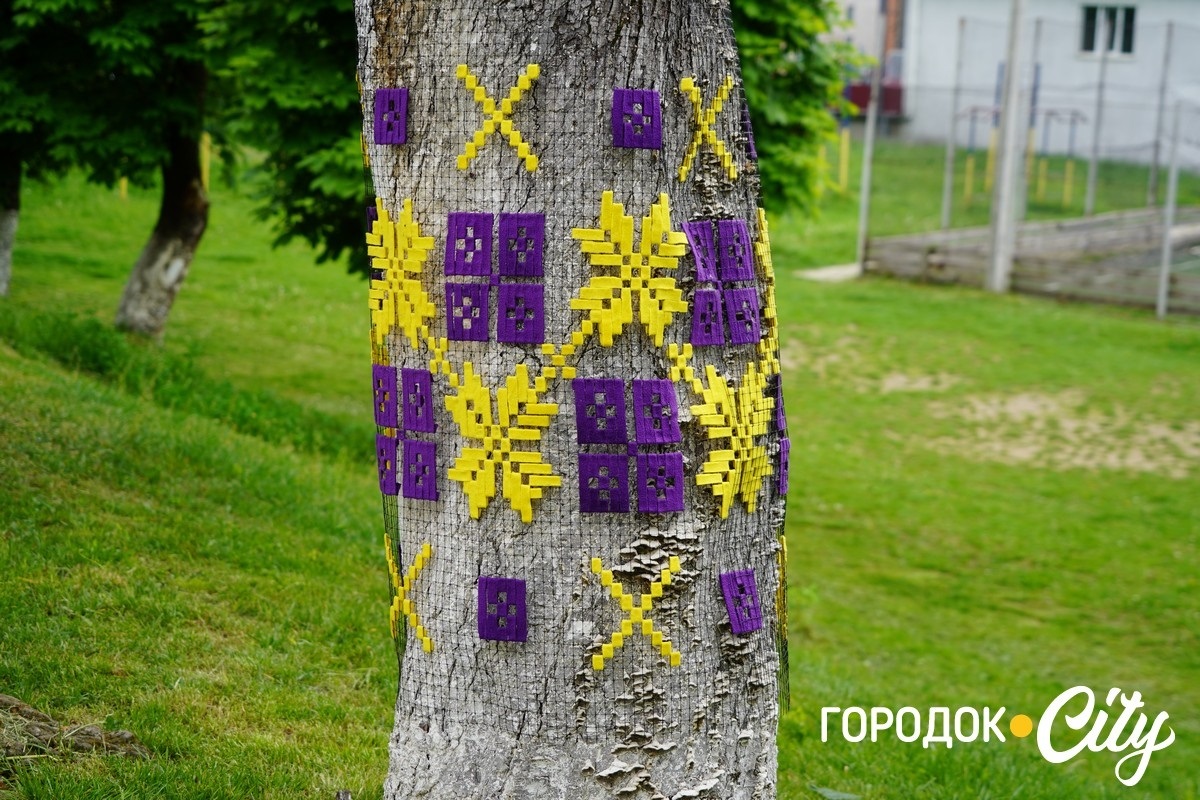 Створили цифру 20 та одягнули дерева у вишиванки. Фоторепортаж із Городоцького ліцею №1