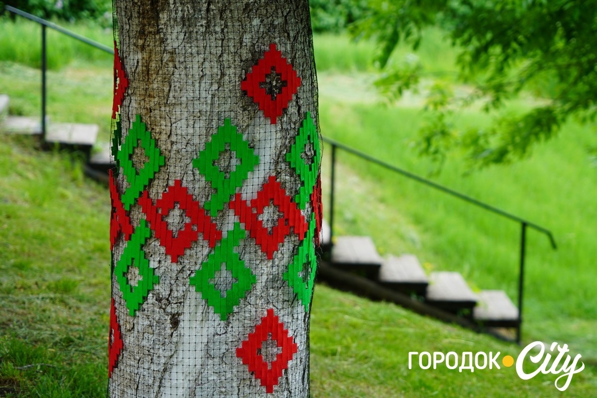 Створили цифру 20 та одягнули дерева у вишиванки. Фоторепортаж із Городоцького ліцею №1