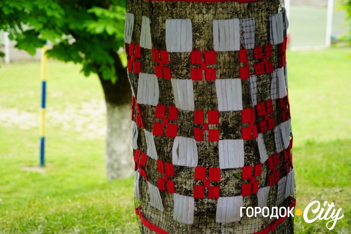 Створили цифру 20 та одягнули дерева у вишиванки. Фоторепортаж із Городоцького ліцею №1
