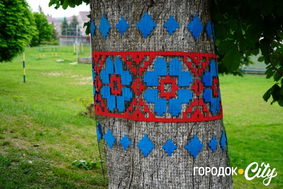 Створили цифру 20 та одягнули дерева у вишиванки. Фоторепортаж із Городоцького ліцею №1