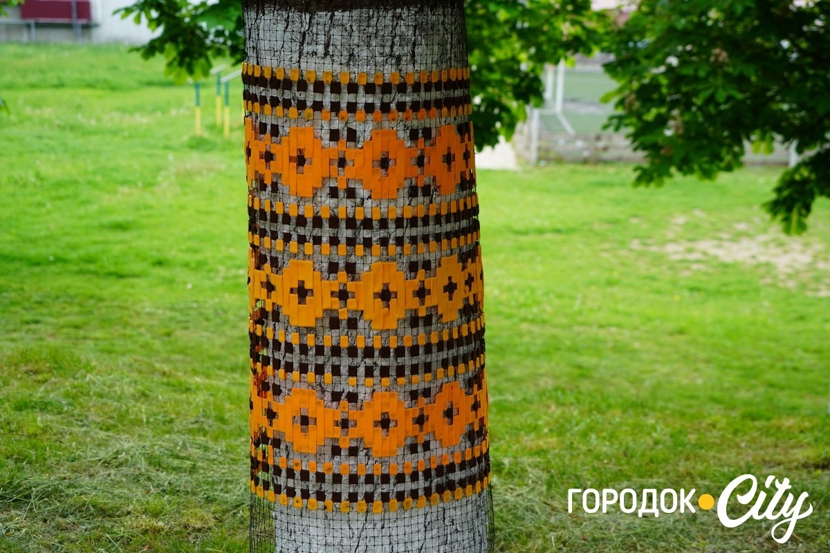 Створили цифру 20 та одягнули дерева у вишиванки. Фоторепортаж із Городоцького ліцею №1