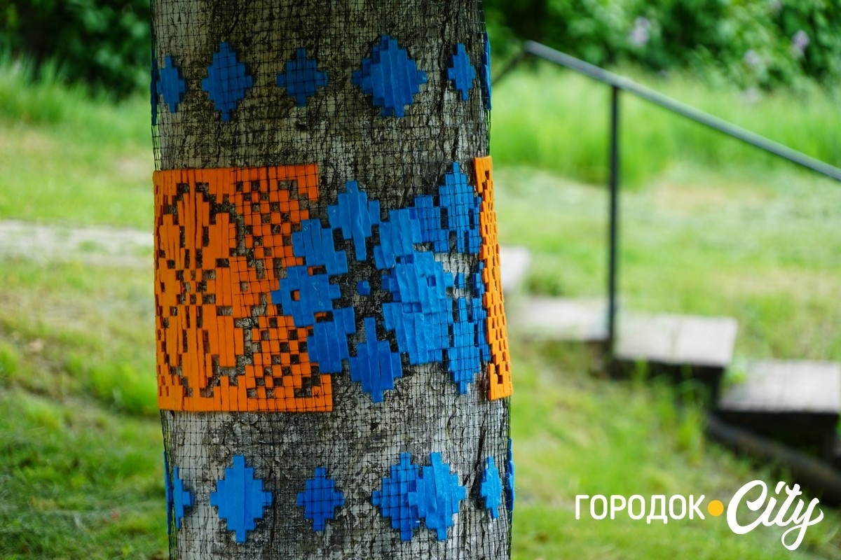 Створили цифру 20 та одягнули дерева у вишиванки. Фоторепортаж із Городоцького ліцею №1