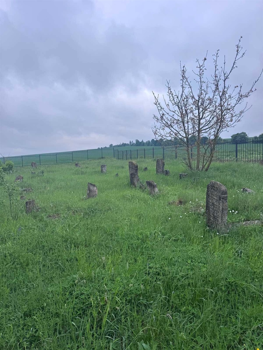 Єврейське кладовище в Купині на Хмельниччині огородили за сприяння МЗС Німеччини