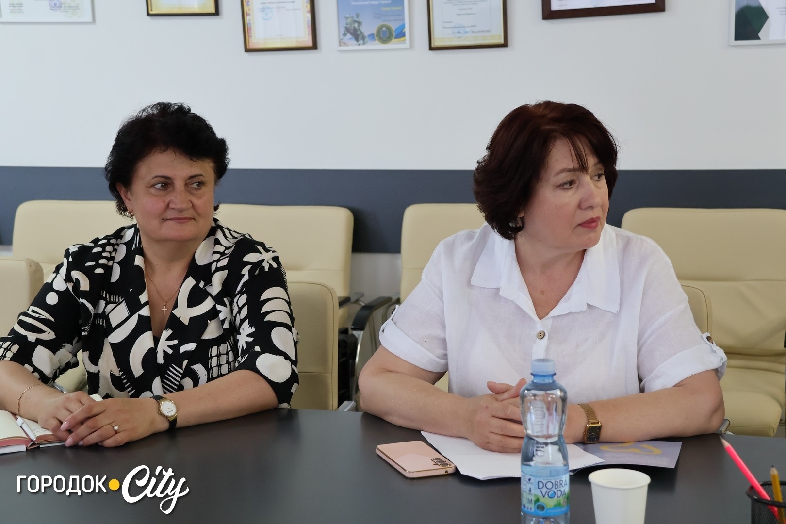 Городоцька громада приймала представників пілотних громад у межах програми «Ти як?»