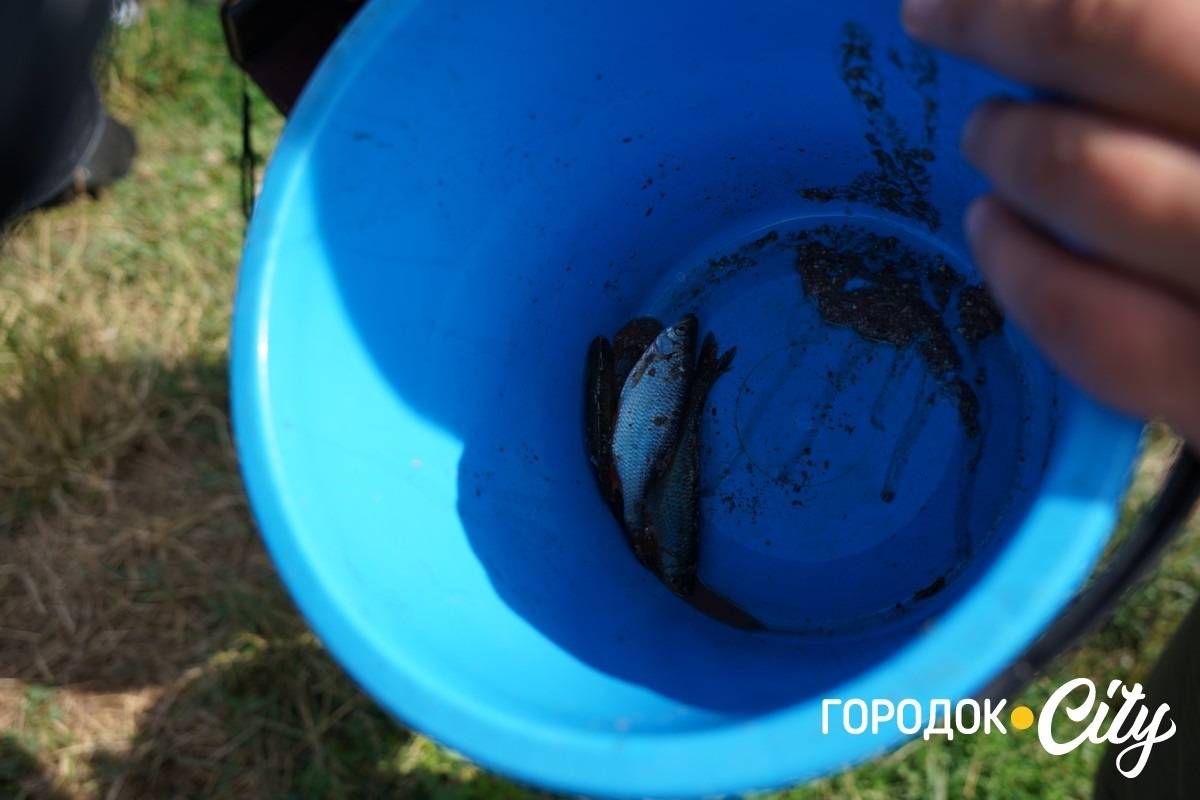 У Городку вперше провели дитячі змагання з риболовлі