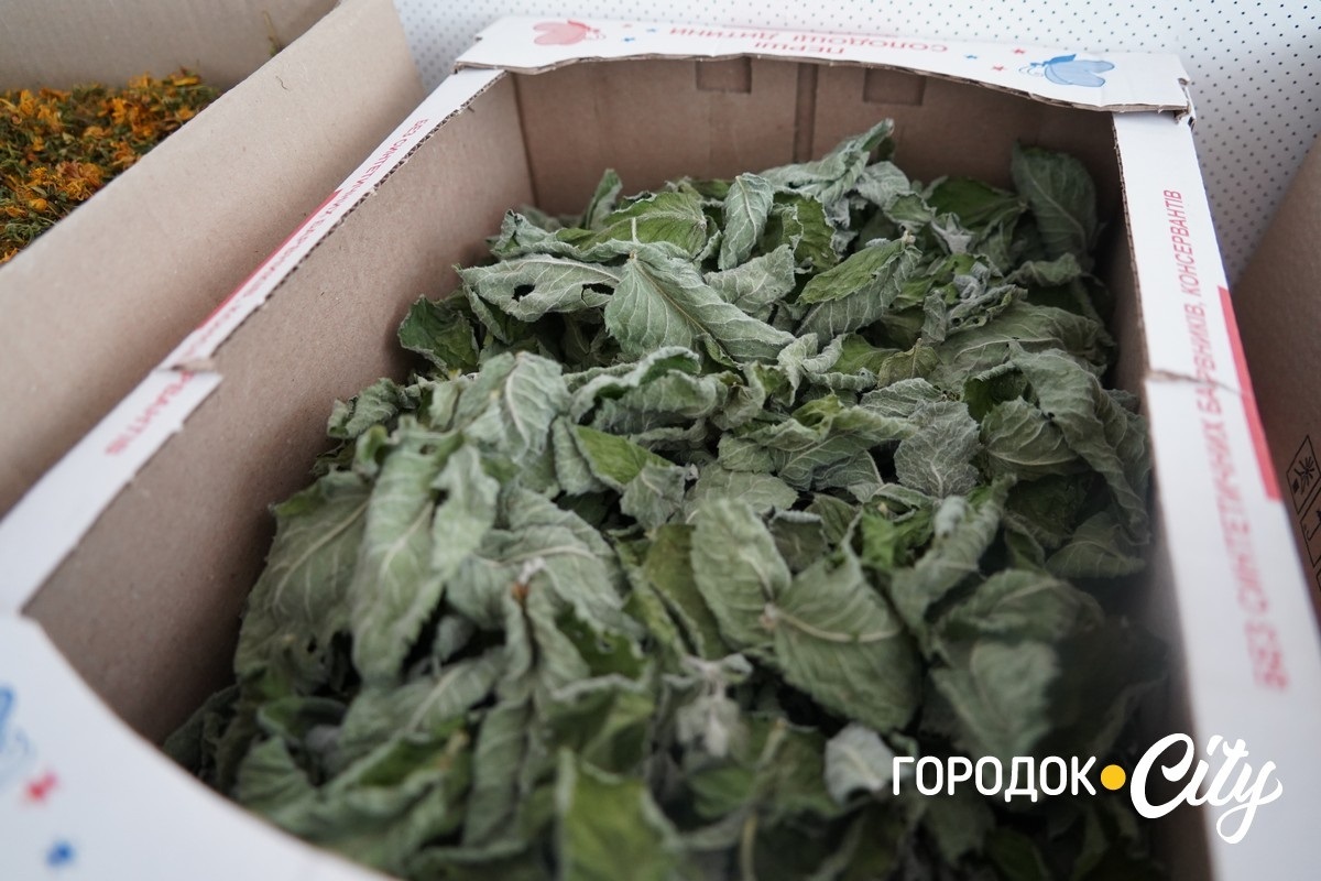 Понад 70 сіток для фронту. Як волонтерки з Великої Левади допомагають захисникам