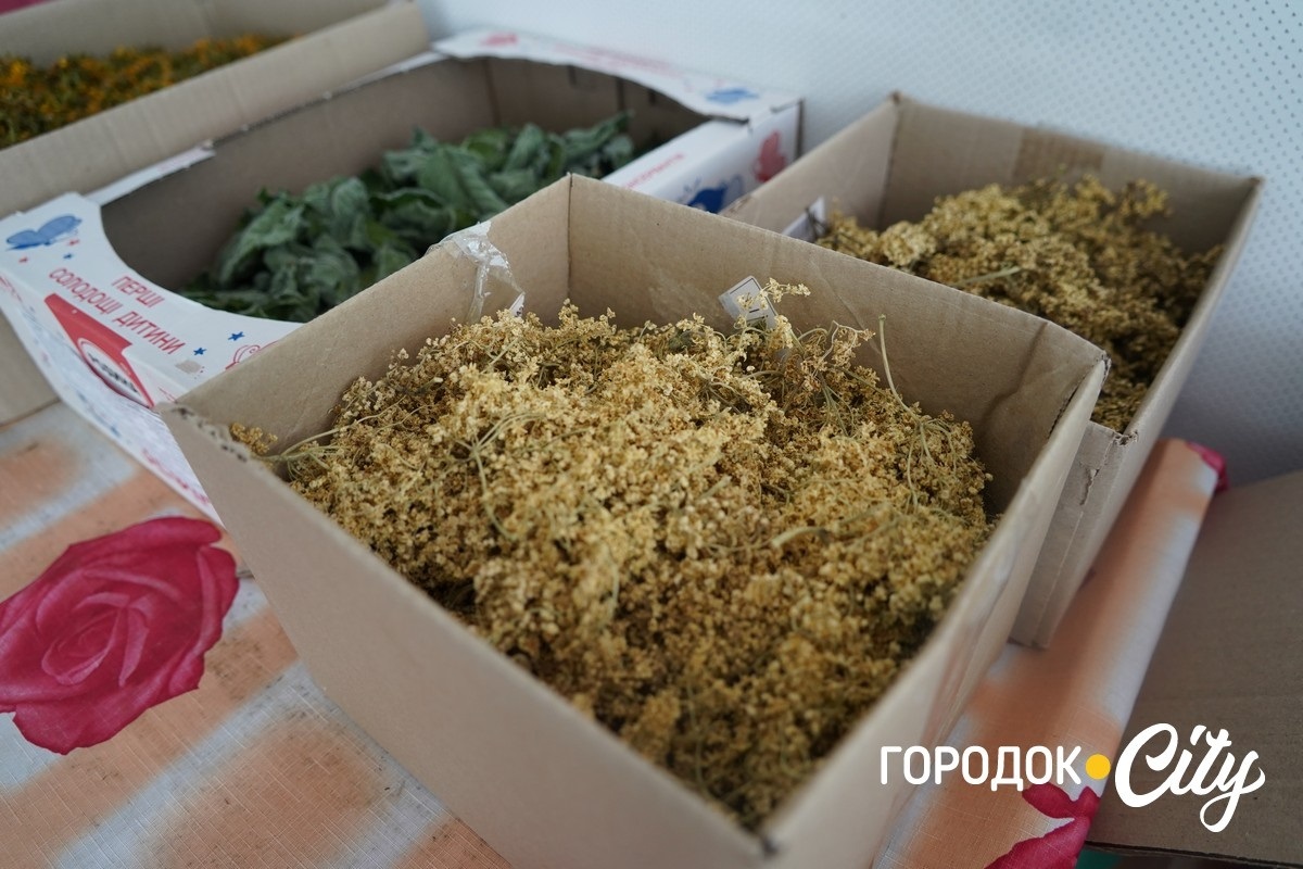 Понад 70 сіток для фронту. Як волонтерки з Великої Левади допомагають захисникам