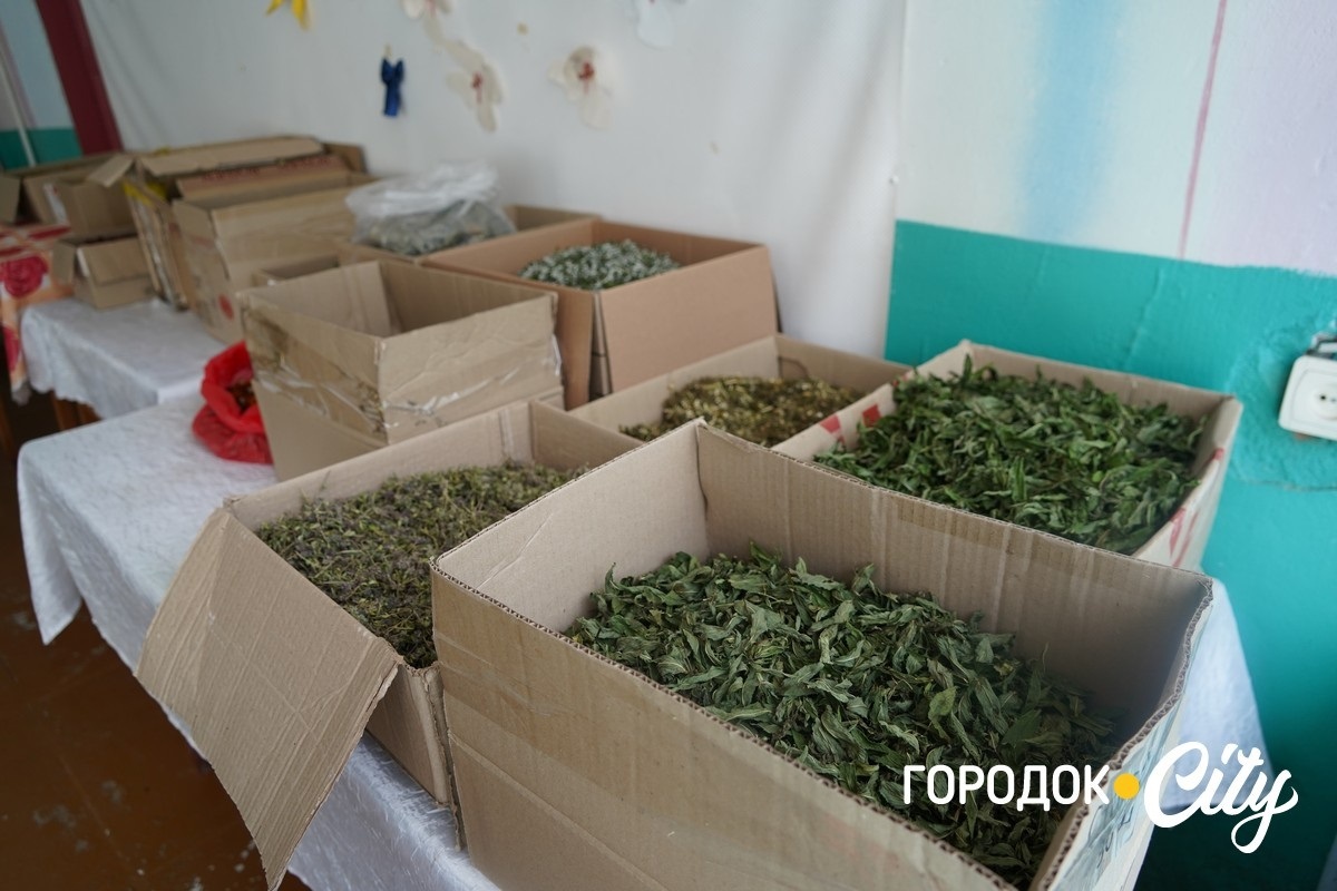 Понад 70 сіток для фронту. Як волонтерки з Великої Левади допомагають захисникам